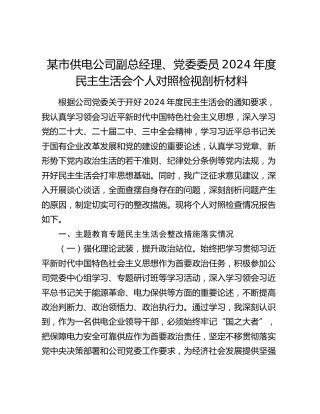 某市供电公司副总经理、党委委员2024年度民主生活会个人对照检视剖析材料