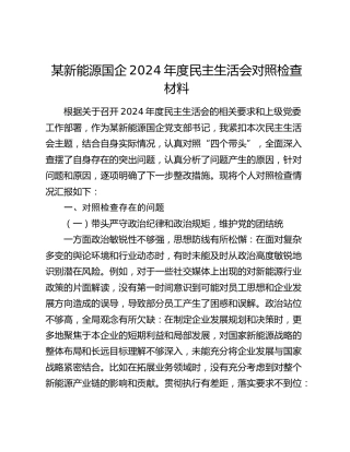 某新能源国企2024年度民主生活会对照检查材料