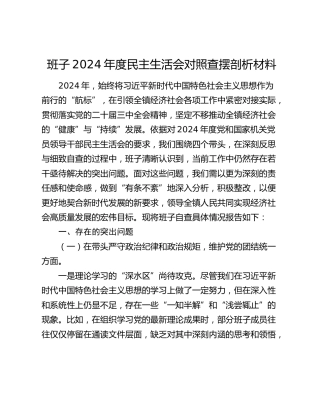 班子2024年度民主生活会对照查摆剖析材料