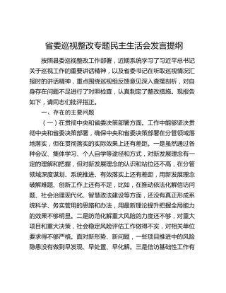 省委巡视整改专题民主生活会发言提纲