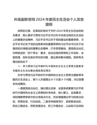 科级副职领导2024年度民主生活会个人发言提纲