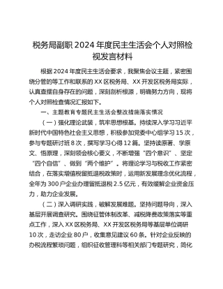 税务局副职2024年度民主生活会个人对照检视发言材料