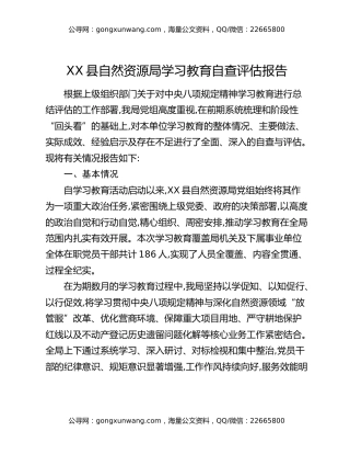 XX县自然资源局八项规定精神学习教育自查评估报告 (2)