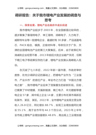调研报告：关于我市锂电产业发展的调查与思考