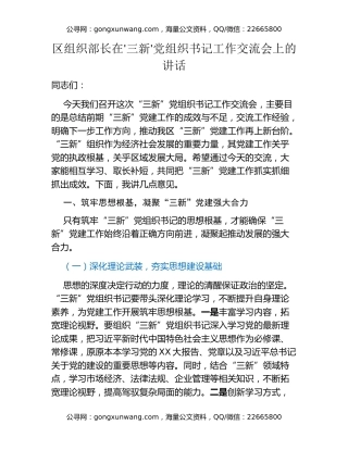区组织部长在‘三新’党组织书记工作交流会上的讲话