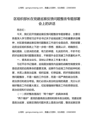 区组织部长在党建巡察反馈问题整改专题部署会上的讲话