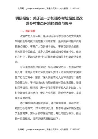 调研报告：关于进一步加强农村垃圾处理改善乡村生态环境的调查与思考