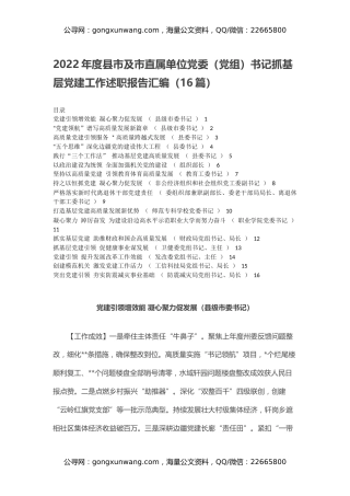 2022年度县市及市直属单位党委（党组）书记抓基层党建工作述职报告汇编（16篇）