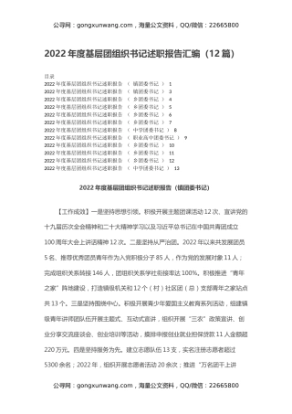 2022年度基层团组织书记述职报告汇编（12篇）