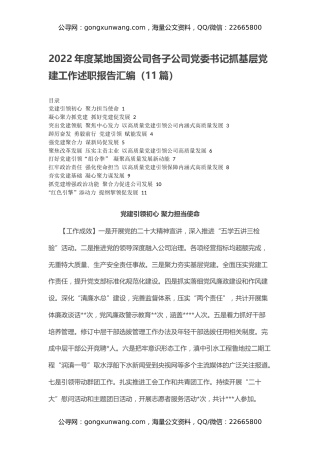 2022年度某地国资公司各子公司党委书记抓基层党建工作述职报告汇编（11篇）