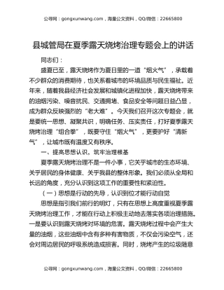 县城管局在夏季露天烧烤治理专题会上的讲话