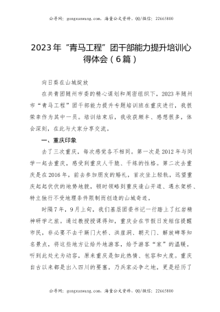2023年“青马工程”团干部能力提升培训心得体会（6篇）