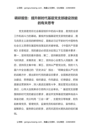 调研报告：提升新时代基层党支部建设效能的有关思考