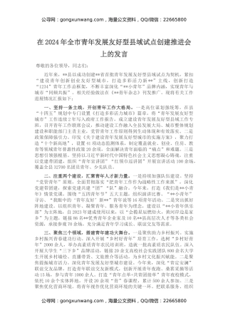 在2024年全市青年发展友好型县域试点创建推进会上的发言