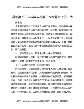 县检察长在未成年人检察工作专题会上的讲话