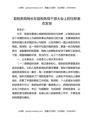 县税务局局长在县税务局干部大会上的任职表态发言