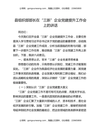 县组织部部长在“三新”企业党建提升工作会上的讲话