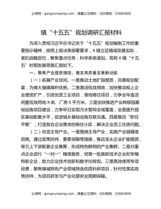 镇“十五五”规划调研汇报材料