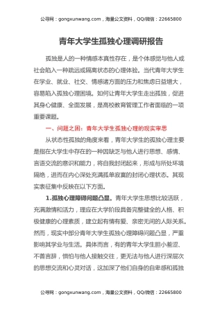 青年大学生孤独心理调研报告