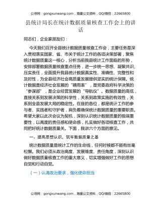 县统计局长在统计数据质量核查工作会上的讲话