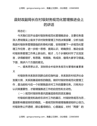 县财政副局长在村级财务规范化管理推进会上的讲话