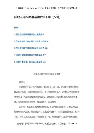 挂职干部相关讲话和发言汇编（5篇）