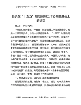 县长在“十五五”规划编制工作协调推进会上的讲话
