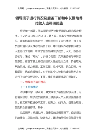领导班子运行情况及后备干部和中长期培养对象人选调研报告