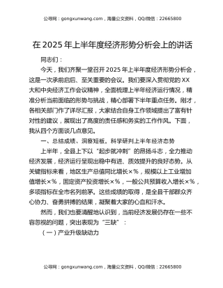 在2025年上半年度经济形势分析会上的讲话