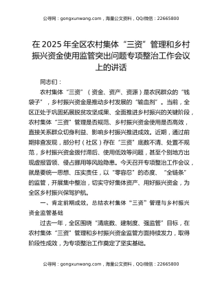 在2025年全区农村集体“三资”管理和乡村振兴资金使用监管突出问题专项整治工作会议上的讲话