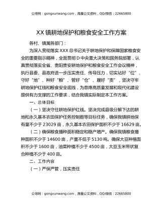 xx镇耕地保护和粮食安全工作方案