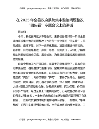 在2025年全县政府系统集中整治问题整改“回头看”专题会议上的讲话