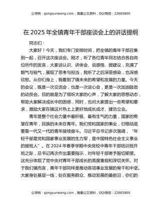 在2025年全镇青年干部座谈会上的讲话提纲