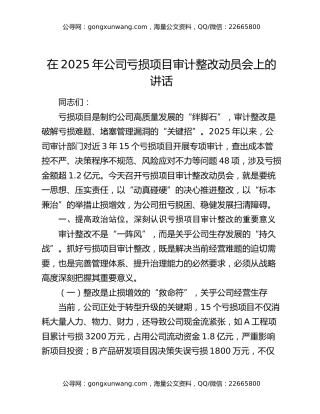 在2025年公司亏损项目审计整改动员会上的讲话