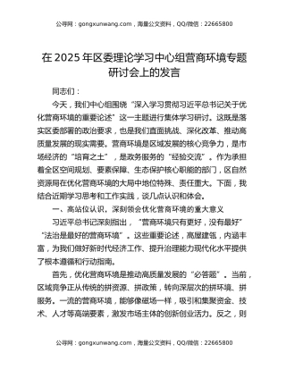 在2025年区委理论学习中心组营商环境专题研讨会上的发言