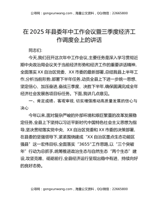 在2025年县委年中工作会议暨三季度经济工作调度会上的讲话