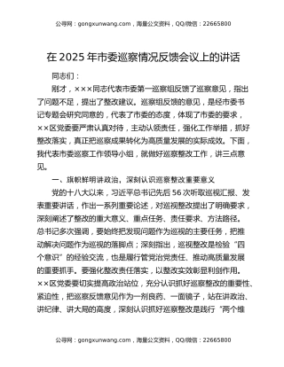 在2025年市委巡察情况反馈会议上的讲话