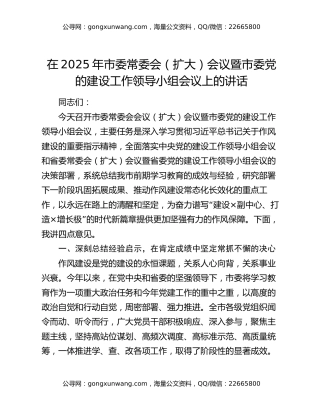 在2025年市委常委会（扩大）会议暨市委党的建设工作领导小组会议上的讲话