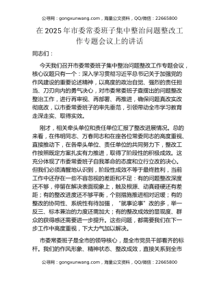 在2025年市委常委班子集中整治问题整改工作专题会议上的讲话