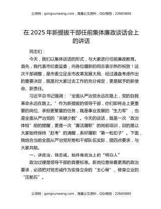 在2025年新提拔干部任前集体廉政谈话会上的讲话