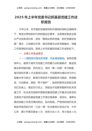 2025年上半年党委书记抓基层党建工作述职报告