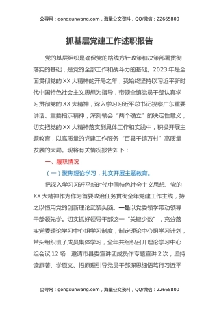 2025年抓基层党建工作述职报告