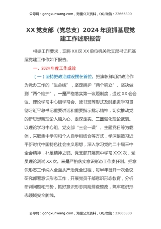XXX党支部（党总支）2024年度抓基层党建工作述职报告