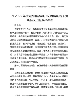 在2025年镇党委理论学习中心组学习巡听旁听会议上的点评讲话
