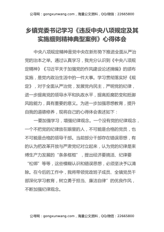乡镇党委书记学习《违反中央八项规定及其实施细则精神典型案例》心得体会