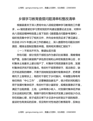 乡镇八项规定精神学习教育查摆问题清单和整改清单