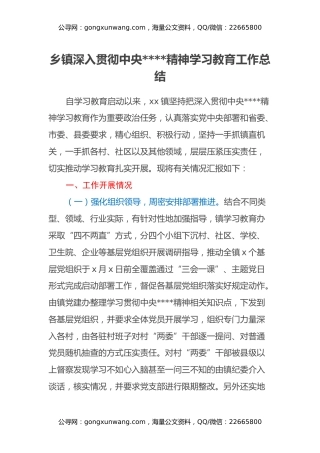 乡镇深入贯彻中央八项规定精神学习教育工作总结