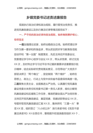 乡镇党委书记述责述廉报告