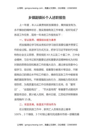 乡镇副镇长个人述职报告 (3)