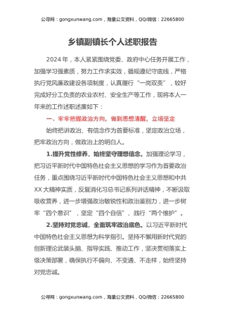 乡镇副镇长个人述职报告 (4)